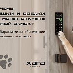 Почему кошки и собаки не могут...
